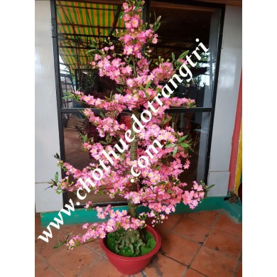 cây đào giả bon sai cao 1m8