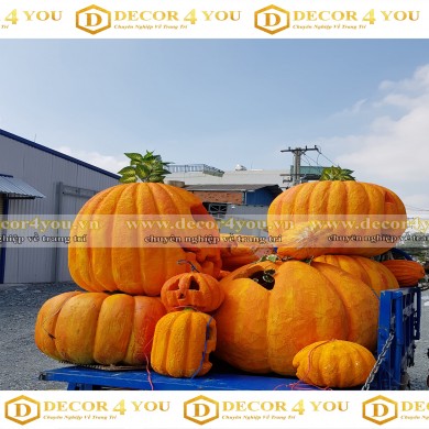 Mô Hình Bí Ngô 2